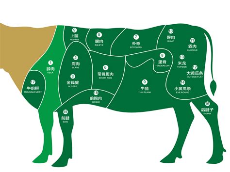牛肉的部位图解与做法 牛肉各个部位分布图及质地简介_第二人生