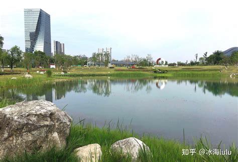 四川成都桂溪生态园环球中心航拍图 图片 | 轩视界