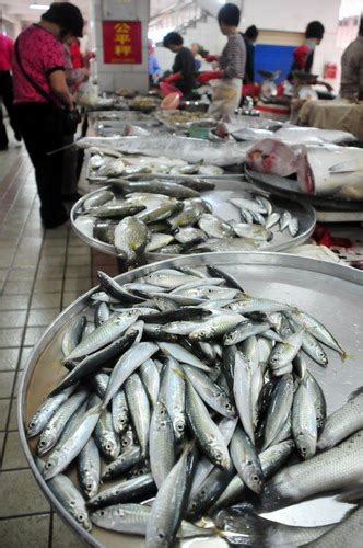 东海全面开捕后，我市各大农贸市场里新鲜鱼货陆续上架
