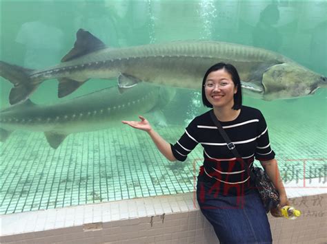 听说世界上最大的一条鲟鱼在衢州 立起来两层楼高-浙江新闻-浙江在线