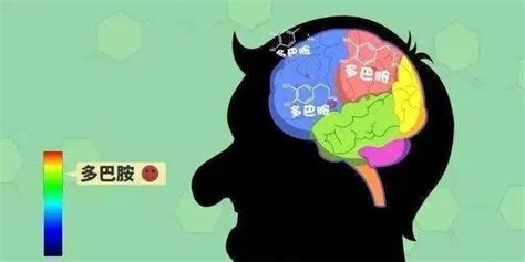 怎样增加大脑多巴胺分泌？ - 知乎