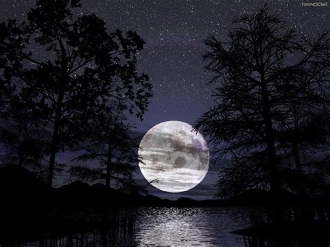 星月夜的构思和构图,星月夜图片大图,梵高的星月夜图片_大山谷图库