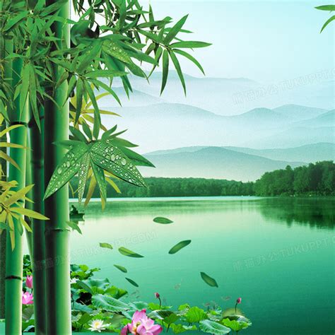 竹林,绿色竹叶,竹子,4K护眼风景壁纸-千叶网