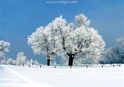厚厚的积雪,其它,自然风景,摄影,汇图网www.huitu.com