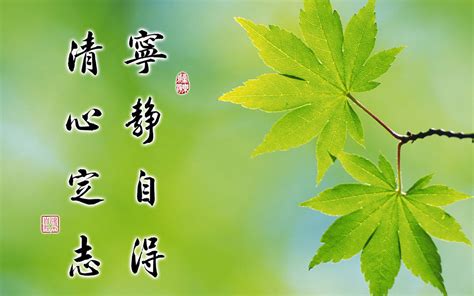 植物名字图片_植物名字设计素材_红动中国