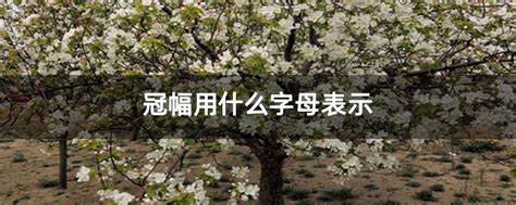 冠幅用什么字母表示-种植技术-中国花木网