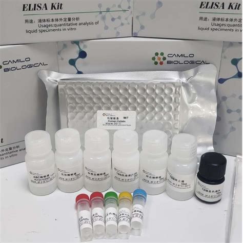 96/48T-人癌胚抗原（CEA/CD66）_人ELISA试剂盒-南京卡米洛生物工程有限公司