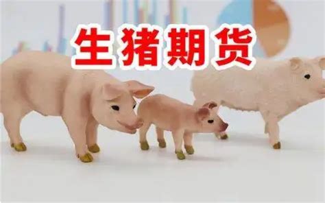 养猪如炒股，活用生猪期货规避“猪周期” - 知乎