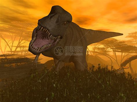 霸王龙,恐龙,白色背景,图像,动物牙齿,已灭绝生物,水平画幅,动物,动物身体部位,进攻摄影素材,汇图网www.huitu.com