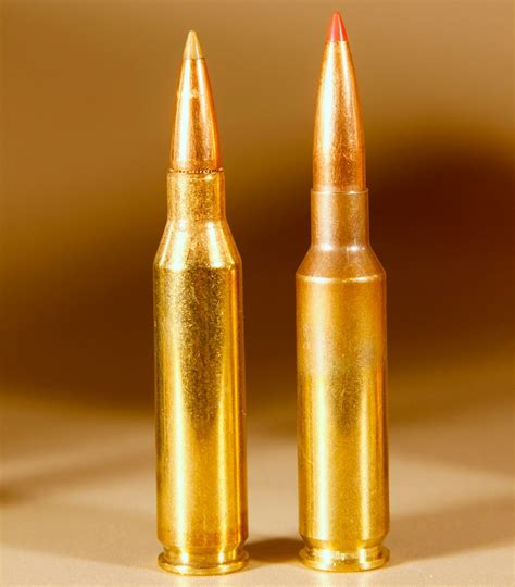 .260 Remington vs. 6.5 Creedmoor: It’s All About Understanding Rifle ...