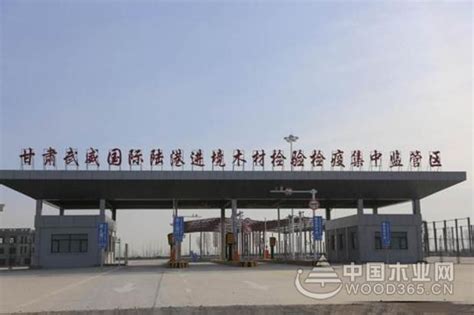 甘肃武威陆港外贸常态化 木材口岸将投入运营-中国木业网
