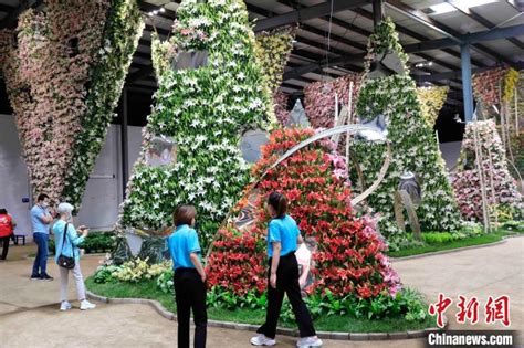 第三届中国凌源百合节开幕 当地花卉年产值超10亿元_手机新浪网