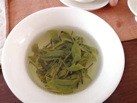 冲泡绿茶的三种投茶方式，哪一种最好？__财经头条