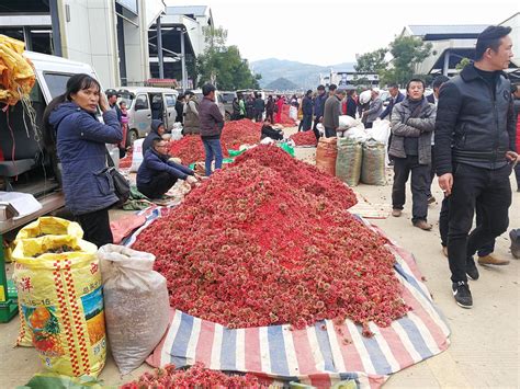 阿里巴巴启动丰收节，打造农产品销售的“双11”-中国网