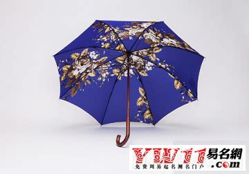 世界知名雨伞品牌起名-起名网