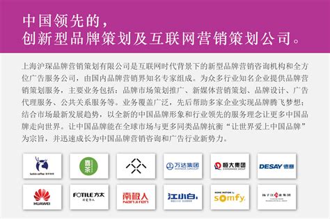 十大咨询公司排名，中国十大广告公司-搜狐大视野-搜狐新闻