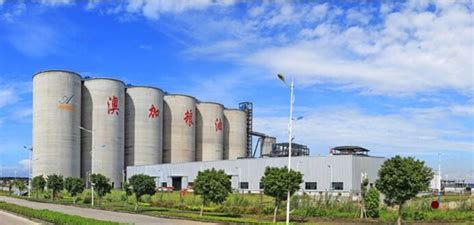 粮储仓容50万吨！广州粮油食品产业园（广清园）项目奠基
