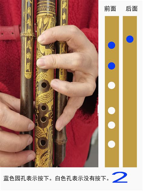 葫芦丝按孔部位手形详细图示讲解_中国民族乐器网
