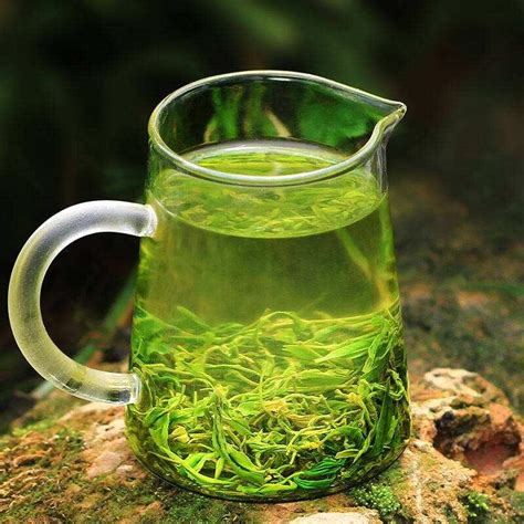 芽茶和毛尖的区别 芽茶的功效与作用_绿茶百科_绿茶说