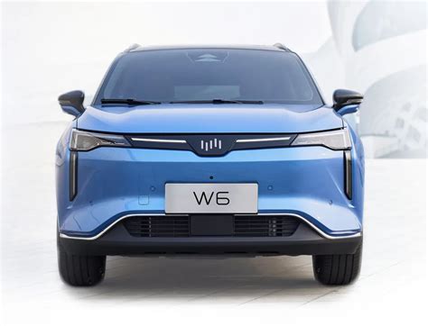威马W6正式开启预售 无人自主泊车成核心卖点 -车神榜