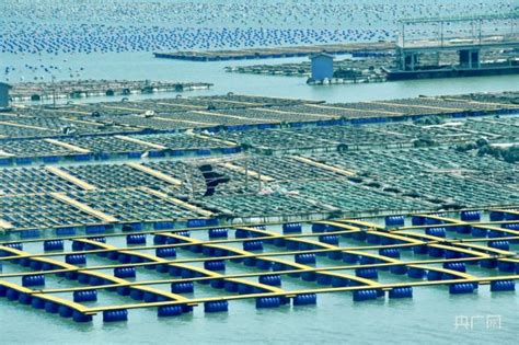 国家863计划项目海水养殖种子工程南方基地，是什么地方?-广东恒兴集团有限公司