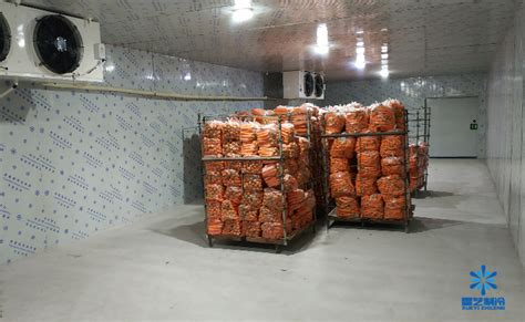 100吨蔬菜保鲜冷库造价要多少钱_上海雪艺制冷科技发展有限公司