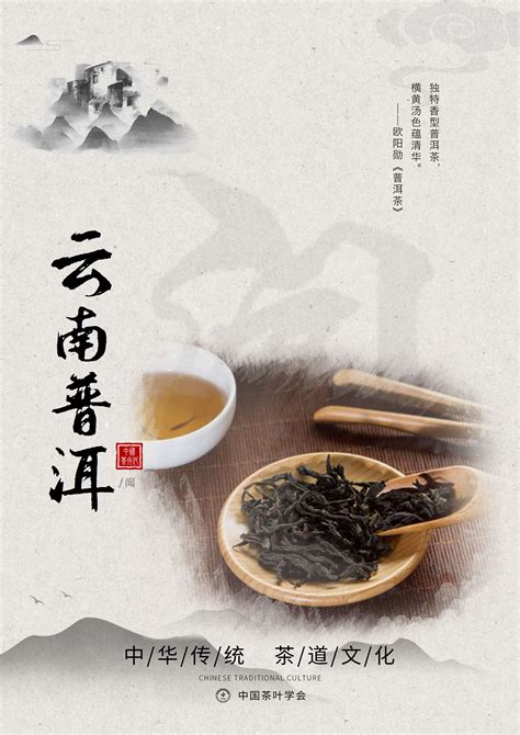 茶文化介绍 系列海报 临摹|平面|宣传物料|陈小秀 - 原创作品 - 站酷 (ZCOOL)