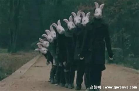 10只兔子恐怖照片：不存在(该梗出自童谣十只兔子)_奇趣解密网