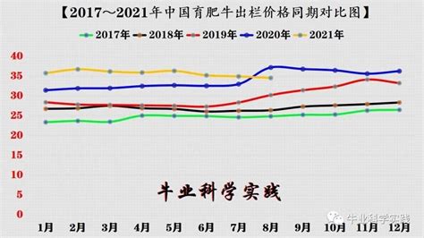 2021-2027年中国大型牲畜养殖行业市场全景调查及投资前景分析报告_智研咨询