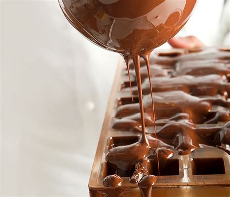 蒂奥莎手工巧克力_蒂奥莎手工巧克力加盟_蒂奥莎手工巧克力加盟费多少钱-天津蒂奥尼食品科技开发有限公司－项目网