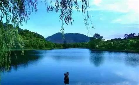 深圳平湖有什么好玩的地方在哪里_旅泊网