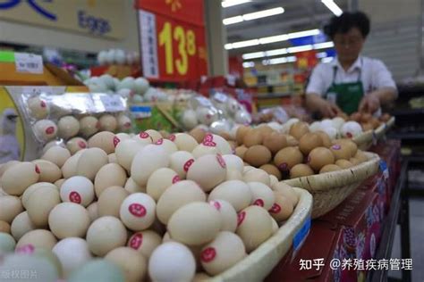 鸡蛋价格跌幅有限_市场分析_农业之友
