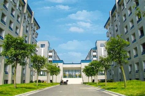 柳州城市职业学院教务处登录入口