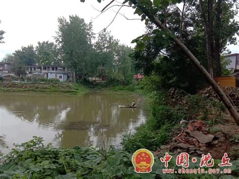 冯营乡：清理坑塘漂浮物 持续推进环境整治行动-沈丘县人民政府