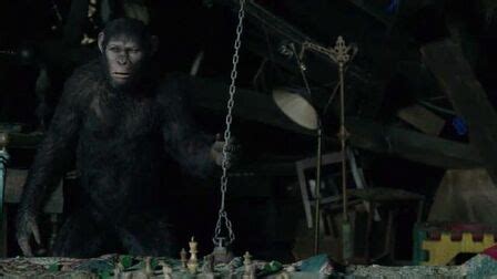 好莱坞科幻大片《猩球崛起2》，人猿斗争再升级，打斗精彩！