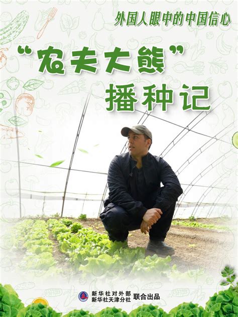 全球连线｜外国人眼中的中国信心：“农夫大熊”播种记-国际在线