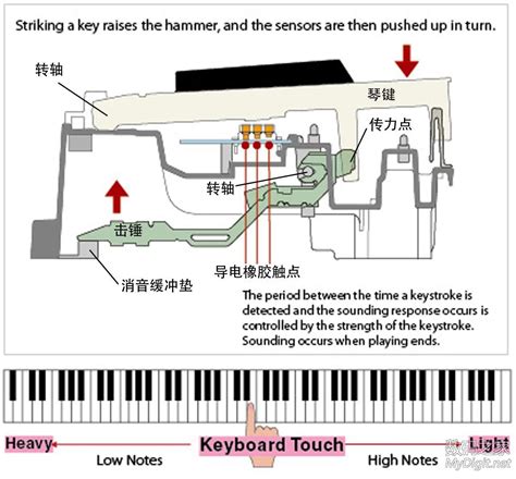 立式钢琴击弦机的构造_腾讯视频