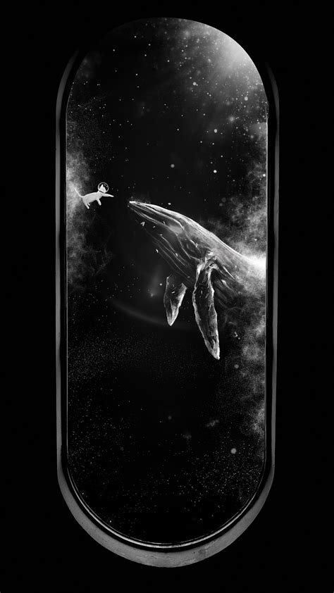 北冥鲸落🐋|摄影|微距|二游笔记 - 原创作品 - 站酷 (ZCOOL)