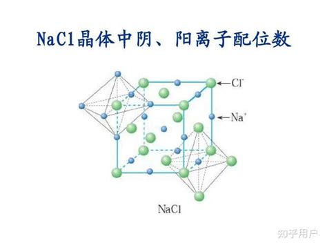 阴离子基团促进阳离子传输的新视角 - 中国科学院物理研究所