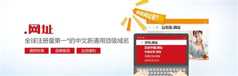 中文域名/网址域名/ICANN认证注册商—京客网_互联网_艾瑞网