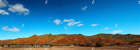 叶子,金色,秋天,都市风光,天空正版图片素材下载_ID:133176380 - Veer图库