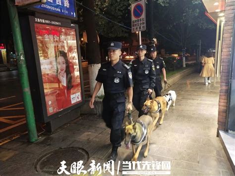 湄潭县公安局警犬中队：与“并肩作战”无声“战友”的日日夜夜！