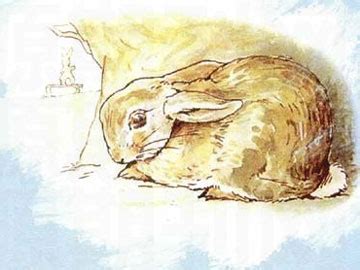 10只兔子背后的故事(原版童谣十只兔子背后有多可怕) - 一凯生活知识网