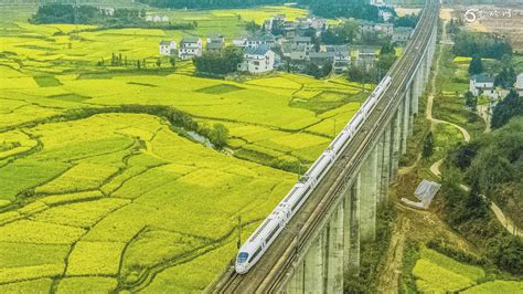 中国境内有几趟最美列车线路每一帧画面都令世人惊艳 - 图说世界 - 龙腾网