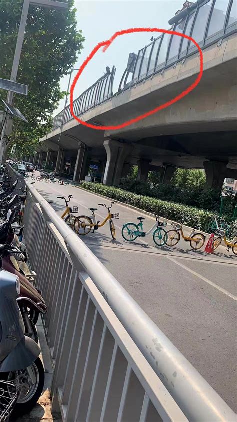 上海公交车高架逆行与面包车碰撞 被撞司机身亡-新闻中心-南海网
