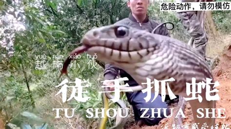 越南小伙野外徒手抓蛇近距离感受惊悚战栗的抓蛇过程_腾讯视频