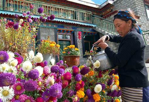 西藏仍然是世界上生态环境最好的地区之一_四川在线