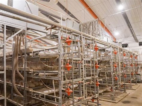 廊坊态度好的全自动养殖设备生产厂家-山东杰恩畜牧设备有限公司