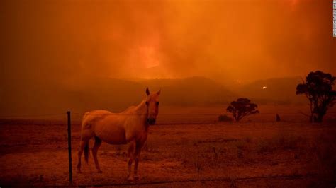 消防员：澳大利亚山火重灾区所有森林大火已被控制_手机新浪网
