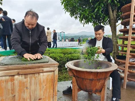 2021中国婺源茶文化旅游节开幕-浙江在线